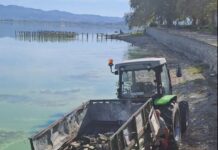 Се чисти крајбрежјето на Дојранското Езеро