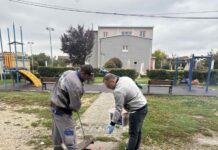 Завршија есенската дератизација и дезинфекцијата во Илинден
