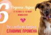 „Лајка“ слави роденден – не бројка, туку промена