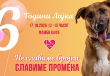 „Лајка“ слави роденден – не бројка, туку промена