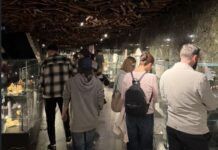 Рекордни 4.000 посетители во Националниот археолошки музеј за „Бела ноќ“