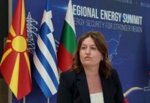 Со заеднички сили до стратегија за чиста енергија