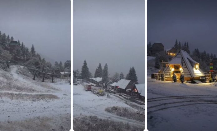brezovica sneg video kolaz
