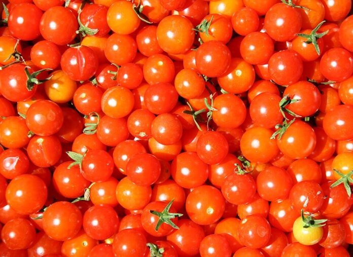 Cherry_tomatoes