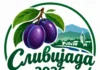 „Пијанечки денови на сливата 2026“ село Град