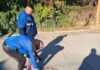 Почна есенската дератизација во Карпош