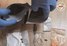 Германец фатен на Табановце со хашиш, амфетамин и MDMA/ФОТО