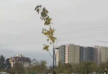 За неколку дена, мега паркот во Бутел ќе биде пуштен во употреба