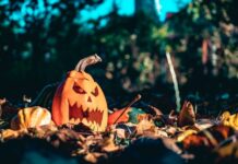 Ноќта на вештерките на Американците им преседна, пред да почне! Цените вртоглаво растат, продажбата тоне