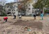 Нова детелина на паркчето на улицата „Манапо“