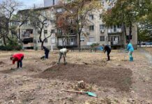 Нова детелина на паркчето на улицата „Манапо“
