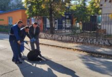 Почна есенската дератизација во Кисела Вода