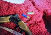 Уапсен маж од Кавадарци: Кај него се пронајдени ловечка пушка, недозволени средства за лов и месо од диве:/ФОТО