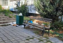 Ѓубре, запуштеност, непријатна миризба… е лицето на Скопје пред туристите