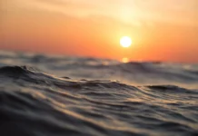 Од морето кај Крит спасени 45 луѓе