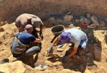 Археолозите открија богат војнички гроб со злато и со оружје од 6. век пр.н.е. кај струшкото село Корошишта
