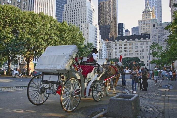New_York._Central_Park._Carriage_(4249565692)
