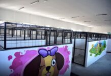До крајот на годината ќе почне проширувањето на капацитетите на ЈП „Лајка“