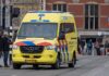 Хорор во Холандија: Леопард усмрти жена, во тек е истрага
