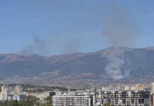 Пожар под Раштак, горат сува трева и нискостеблеста шума