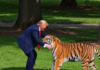 Трамп објави бизарно видео со вештачка интелигенција: Трча и се бори со тигар!/ВИДЕО