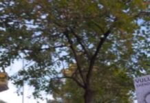Eскалација на студентскиот протест во Тирана: Избувна пожар во зградата на албанското Министертство за образование