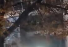 Граѓани се собраа пред телевизија „Пинк“: Толпата фрлаше јајца кон зградата која ја обезбедува полициски кордон/видео