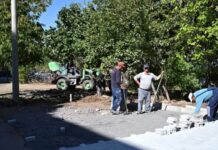 Секоја населба во Штип да има одговорни лица за одржување на зелените површини