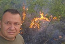 Штетата од годинашните шумски пожари петпати помала од лани