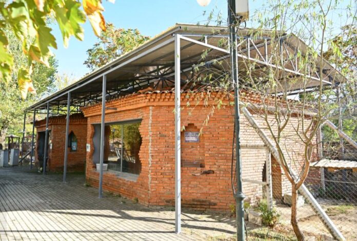 zoo